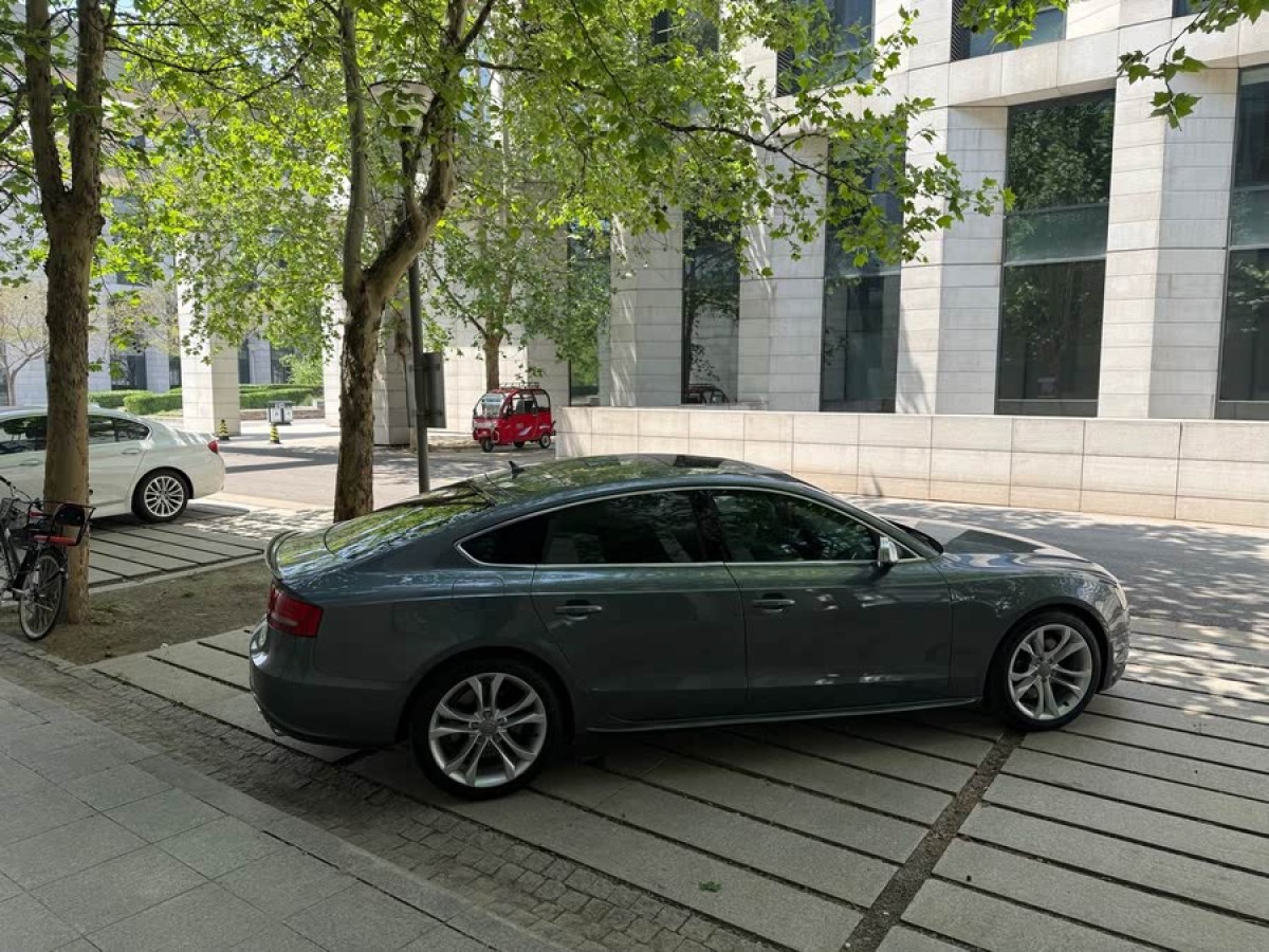 奧迪 奧迪S5  2010款 S5 3.0T Sportback圖片