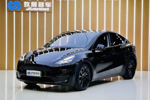 Model 3 特斯拉 改款 標(biāo)準(zhǔn)續(xù)航后驅(qū)升級版