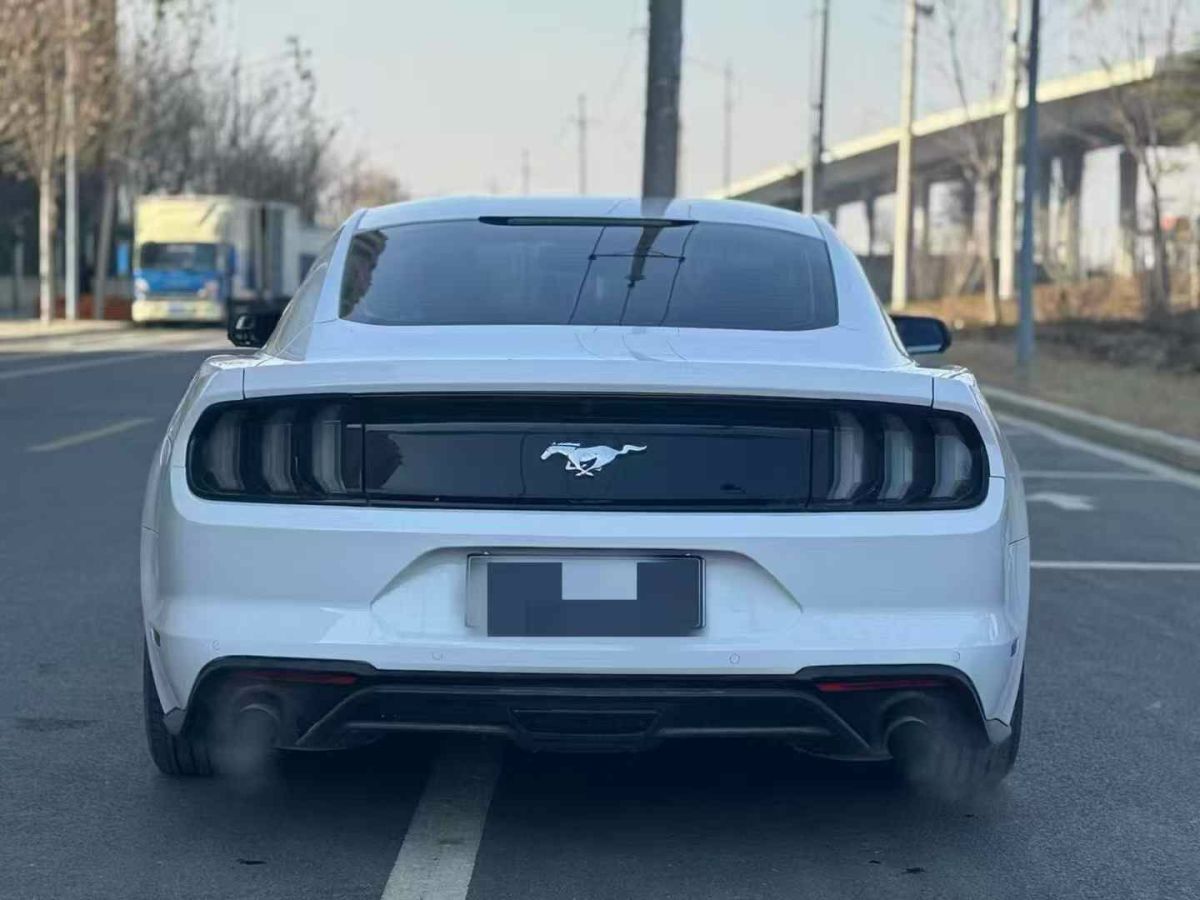 福特 Mustang  2018款 2.3L EcoBoost圖片