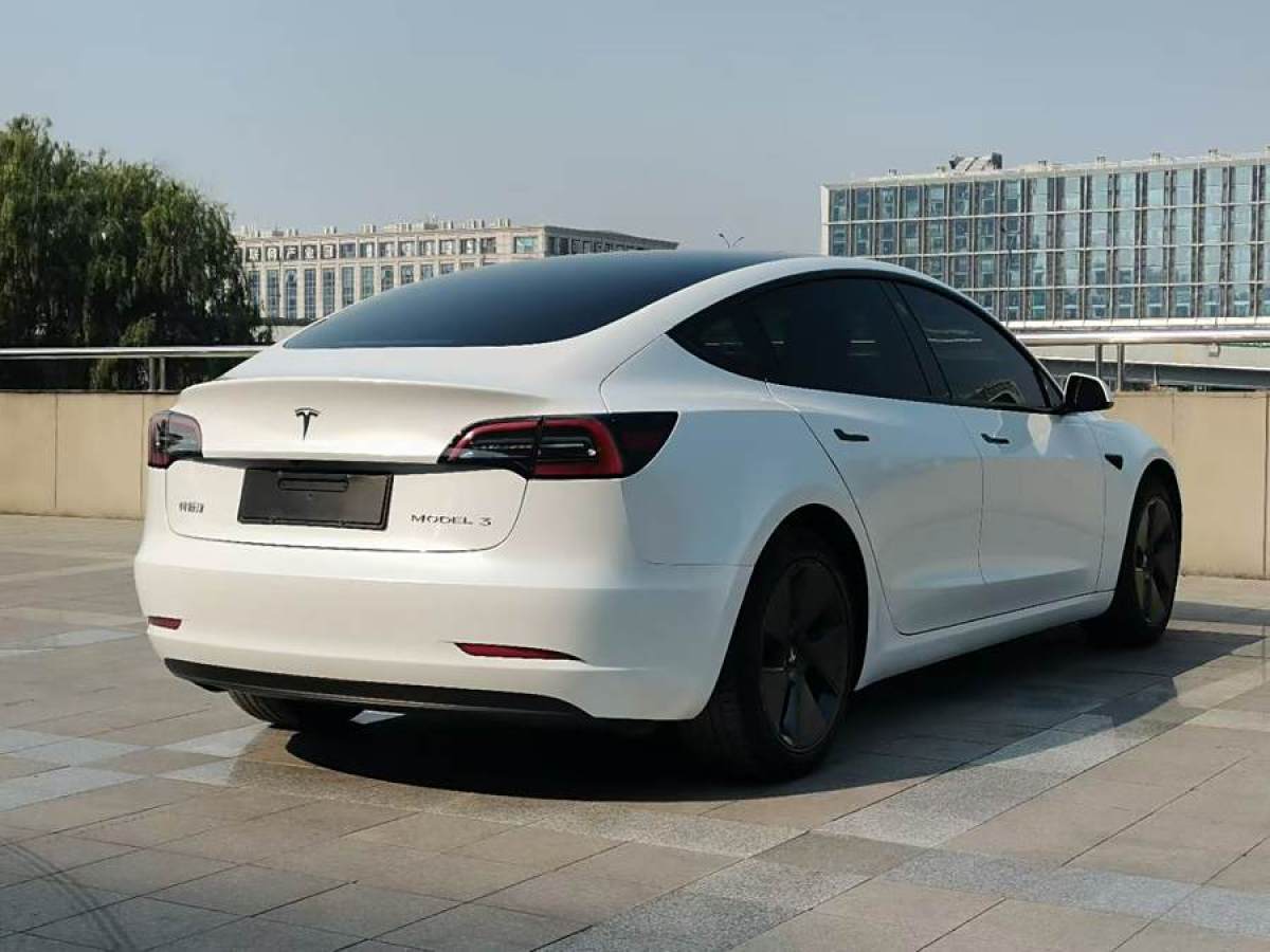 特斯拉 Model 3  2021款 改款 標準續(xù)航后驅升級版圖片