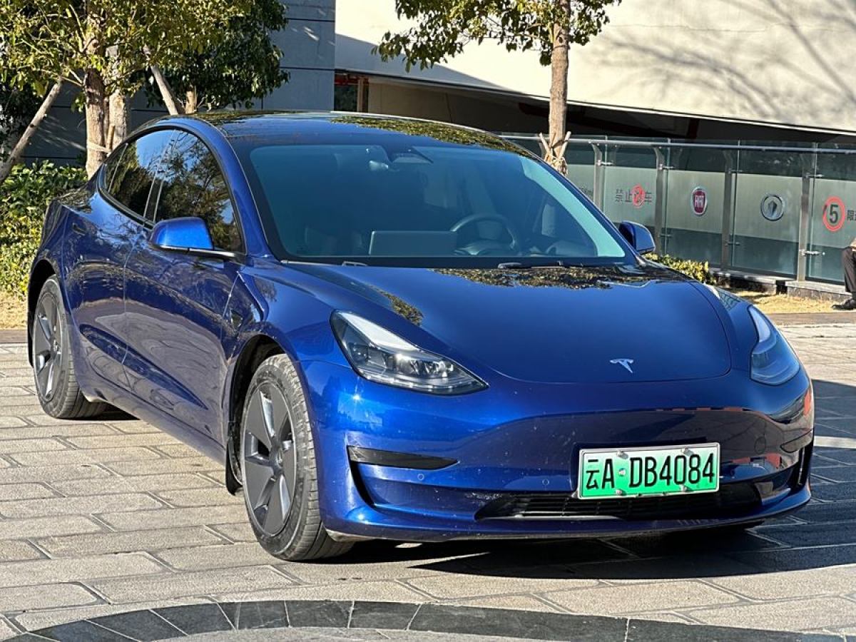 特斯拉 Model 3  2021款 標(biāo)準續(xù)航后驅(qū)升級版 3D6圖片