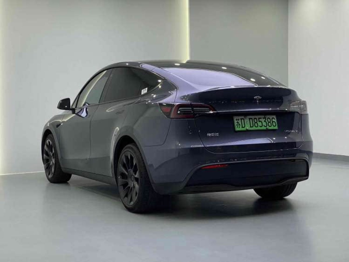 特斯拉 Model Y  2021款 長續(xù)航全輪驅(qū)動版 3D7圖片