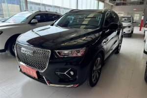 H6 哈弗 國潮版 1.5T 自動(dòng)都市版