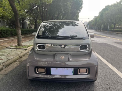 2023年5月 宝骏 宝骏KiWi EV 智奢版 磷酸铁锂图片