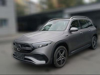 2022年2月 奔馳 奔馳EQB EQB 350 4MATIC 首發(fā)特別版圖片