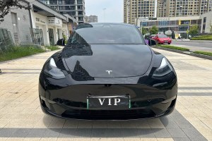 Model Y 特斯拉 改款 長(zhǎng)續(xù)航全輪驅(qū)動(dòng)版