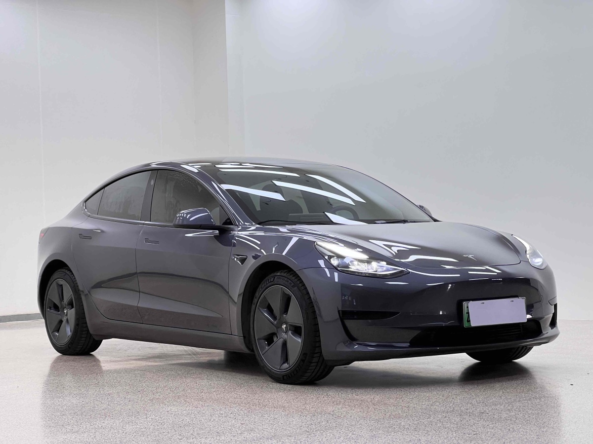 特斯拉 Model 3  2021款 標(biāo)準(zhǔn)續(xù)航后驅(qū)升級版 3D6圖片