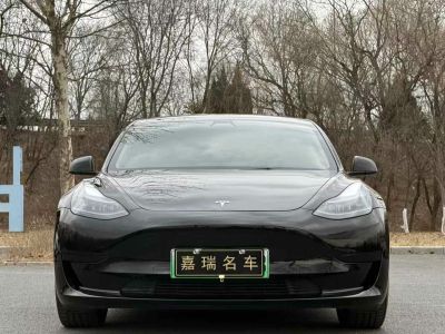 2021年6月 特斯拉 Model Y 標準續(xù)航后驅(qū)版圖片