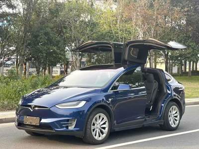 2020年9月 特斯拉 Model X 長續(xù)航版圖片