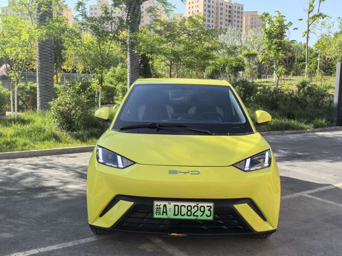 比亞迪 海鷗  2023款 飛翔版圖片