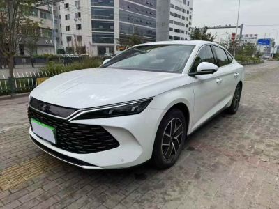 2024年1月 比亞迪 秦 圖片