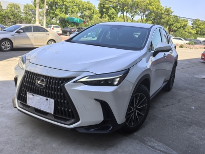 2022年9月 雷克薩斯 NX 260 前驅(qū) 創(chuàng)馳版圖片