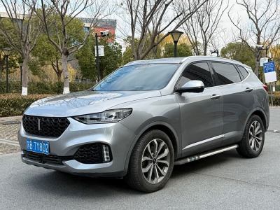 2019年6月 WEY VV5 升級款 2.0T 兩驅(qū)超豪型 國VI圖片