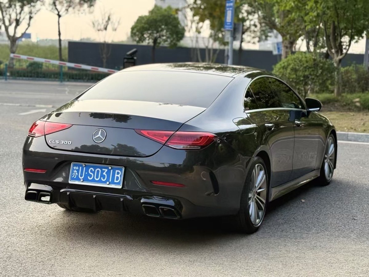 奔驰 奔驰CLS级  2023款 改款 CLS 300 豪华型图片