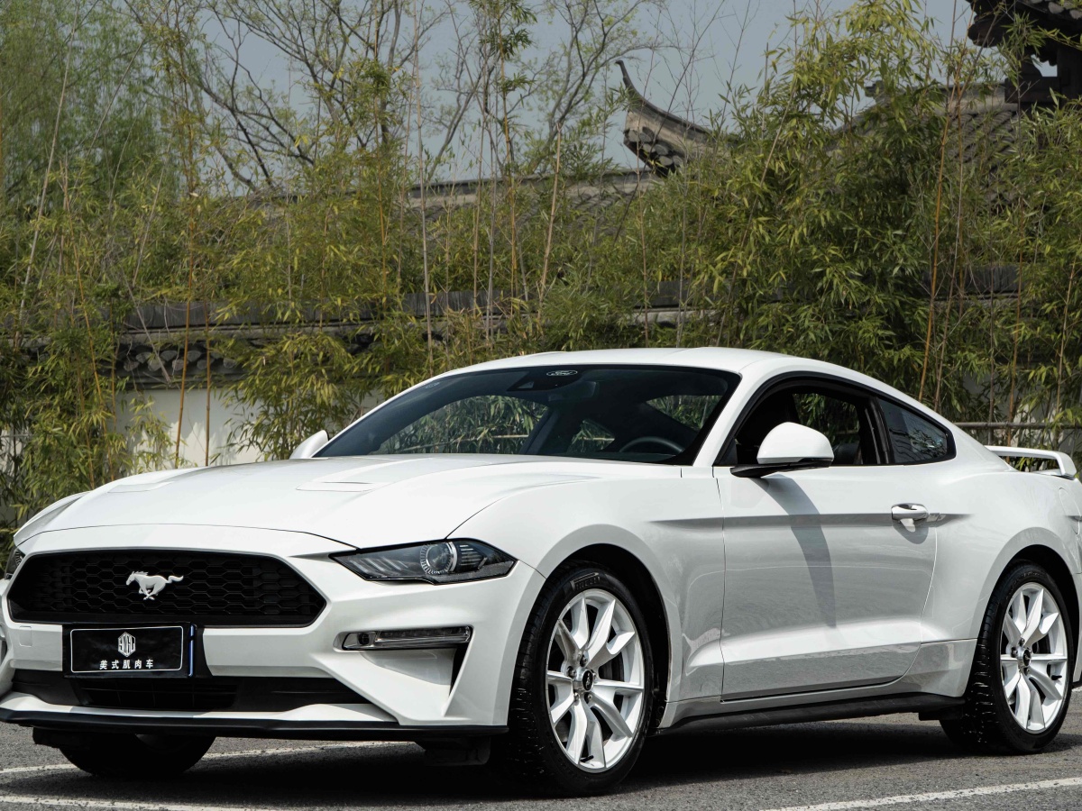 2023年8月福特 Mustang  2022款 2.3L EcoBoost 元光极昼限量版