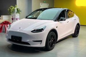 Model Y 特斯拉 后轮驱动版