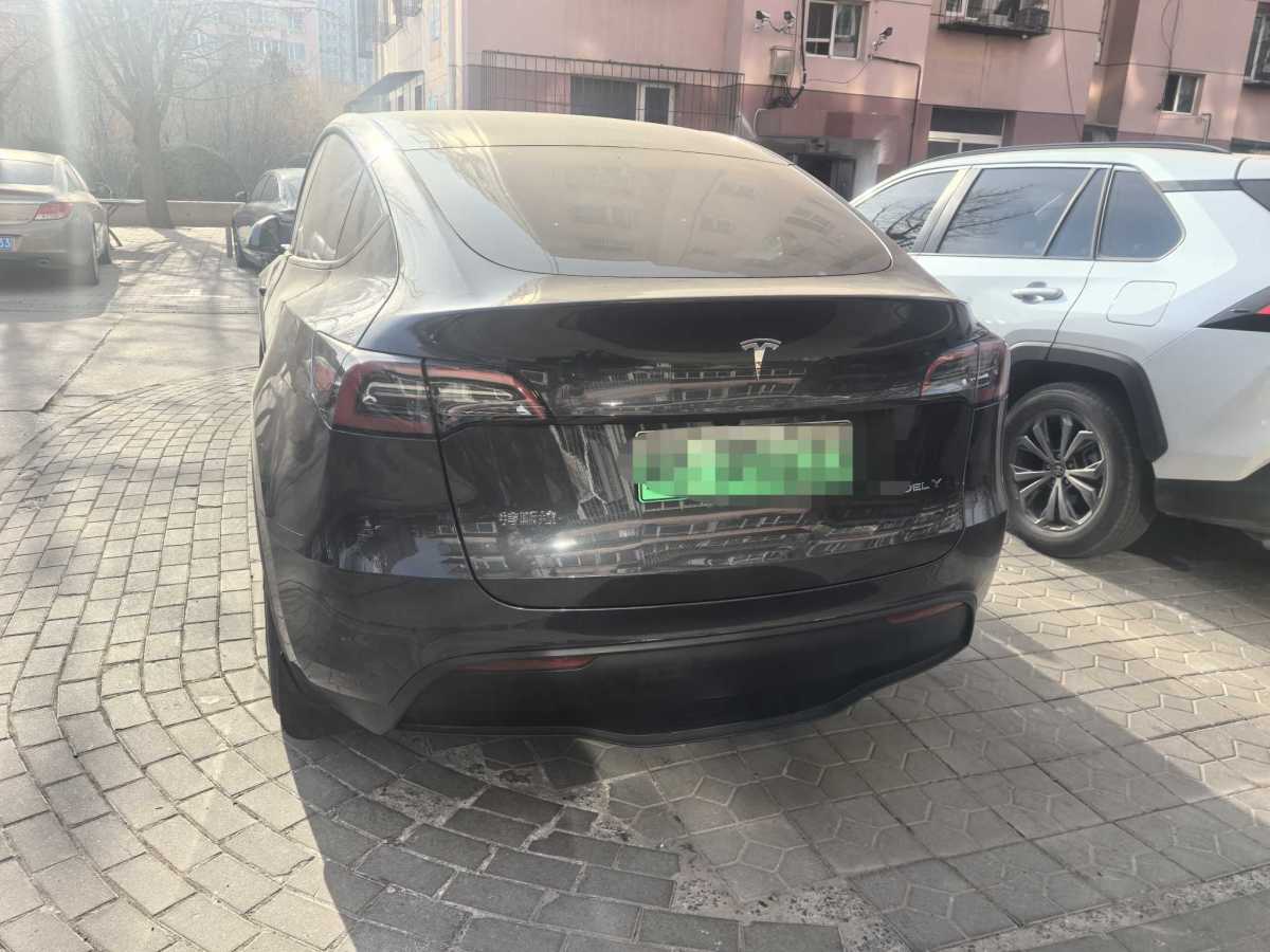 特斯拉 Model 3  2020款 改款 長續(xù)航后輪驅(qū)動版圖片