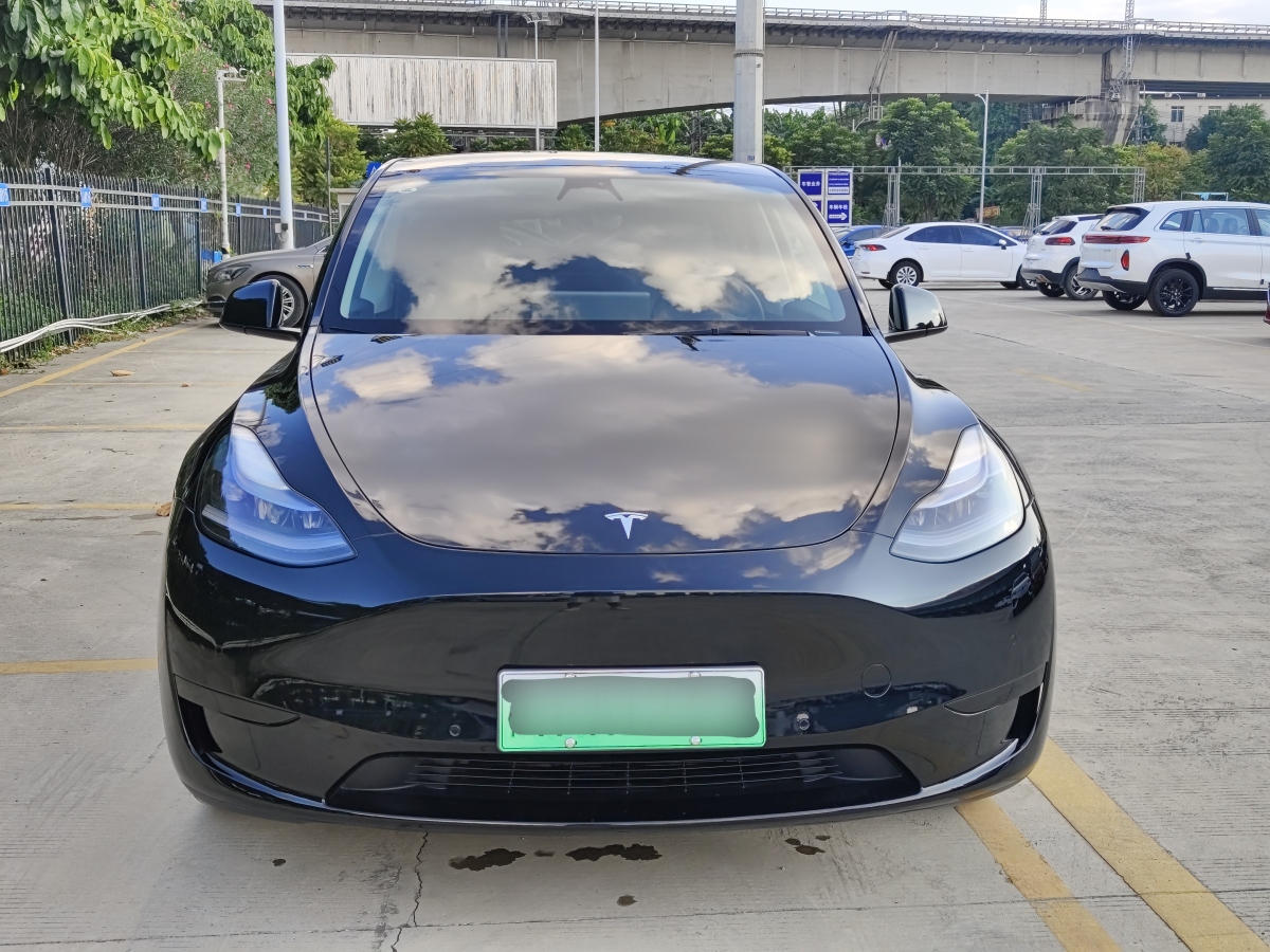 特斯拉 Model 3  2020款 改款 長續(xù)航后輪驅(qū)動版圖片