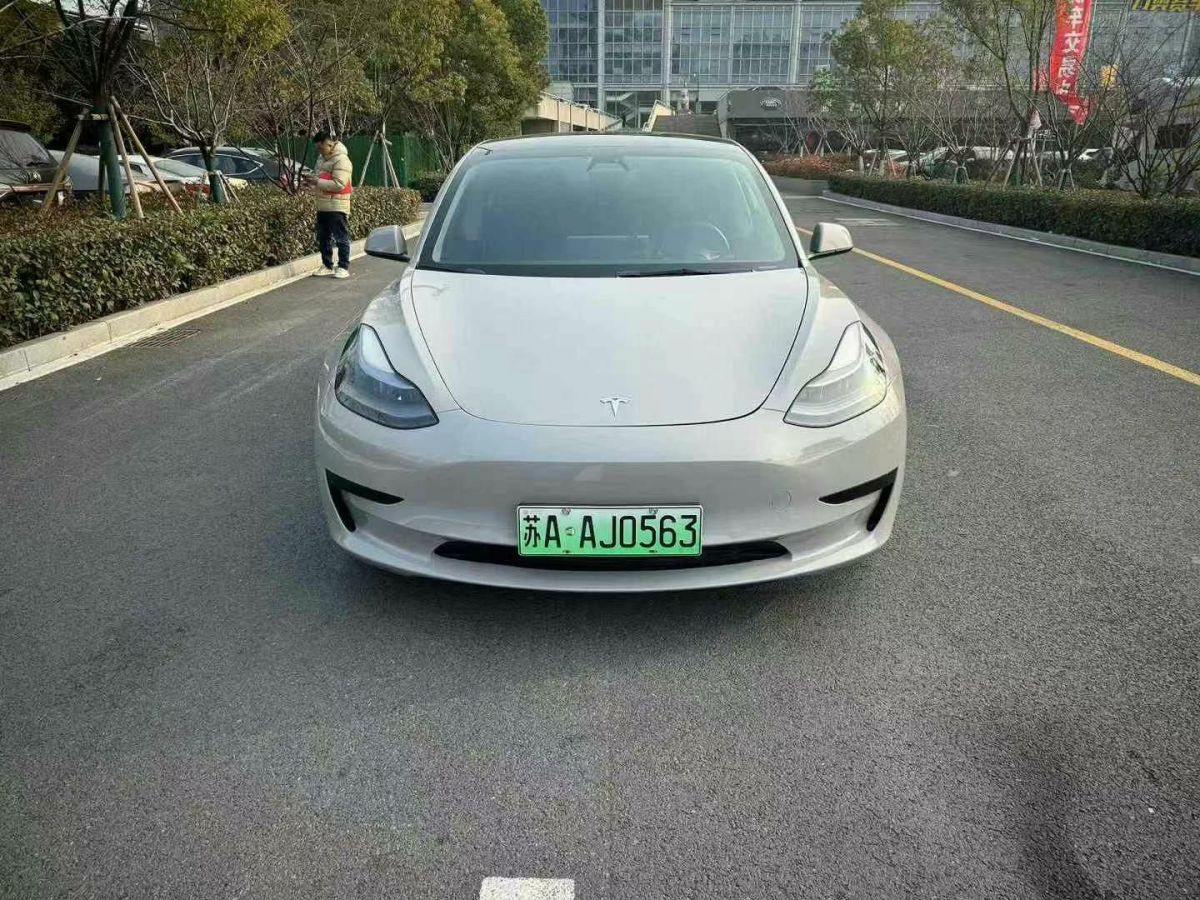 特斯拉 Model 3  2022款 Performance高性能全輪驅(qū)動版圖片