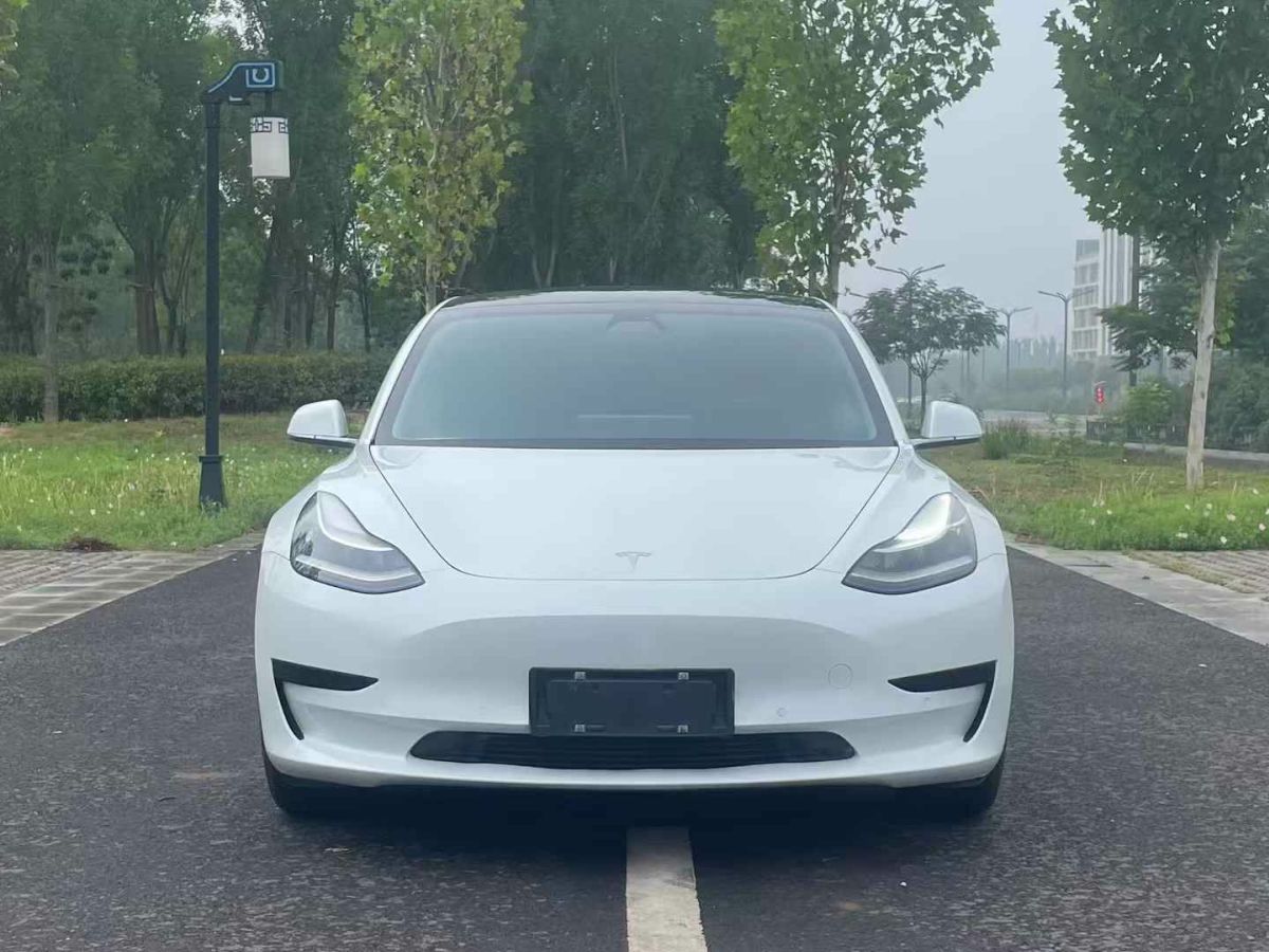 特斯拉 Model 3  2020款 標(biāo)準(zhǔn)續(xù)航后驅(qū)升級(jí)版圖片