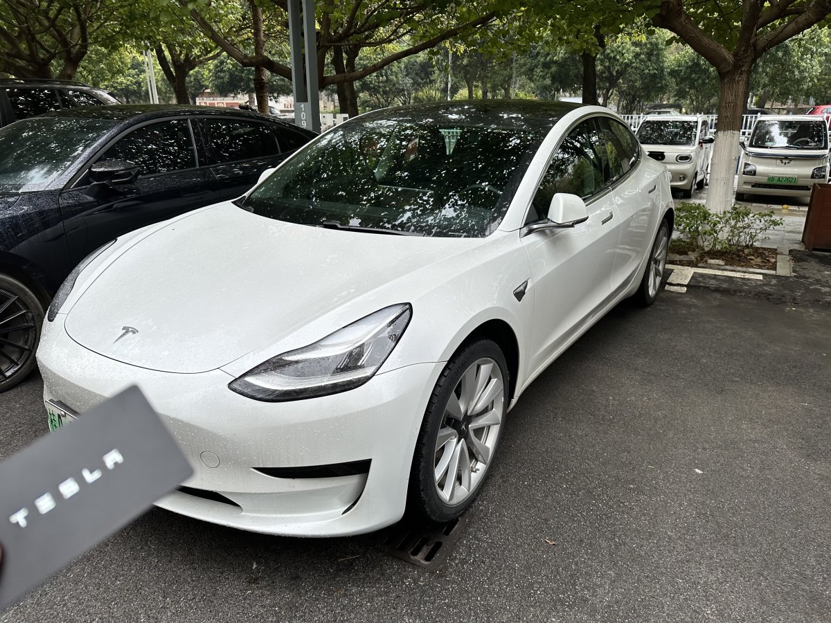 特斯拉 Model 3  2019款 標(biāo)準(zhǔn)續(xù)航后驅(qū)升級(jí)版圖片