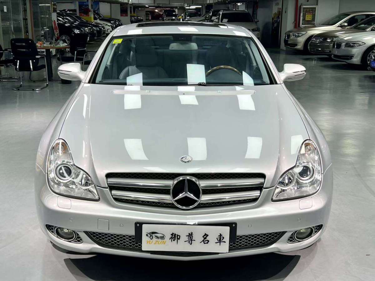 2011年6月奔馳 奔馳CLS級(jí)  2009款 CLS 300