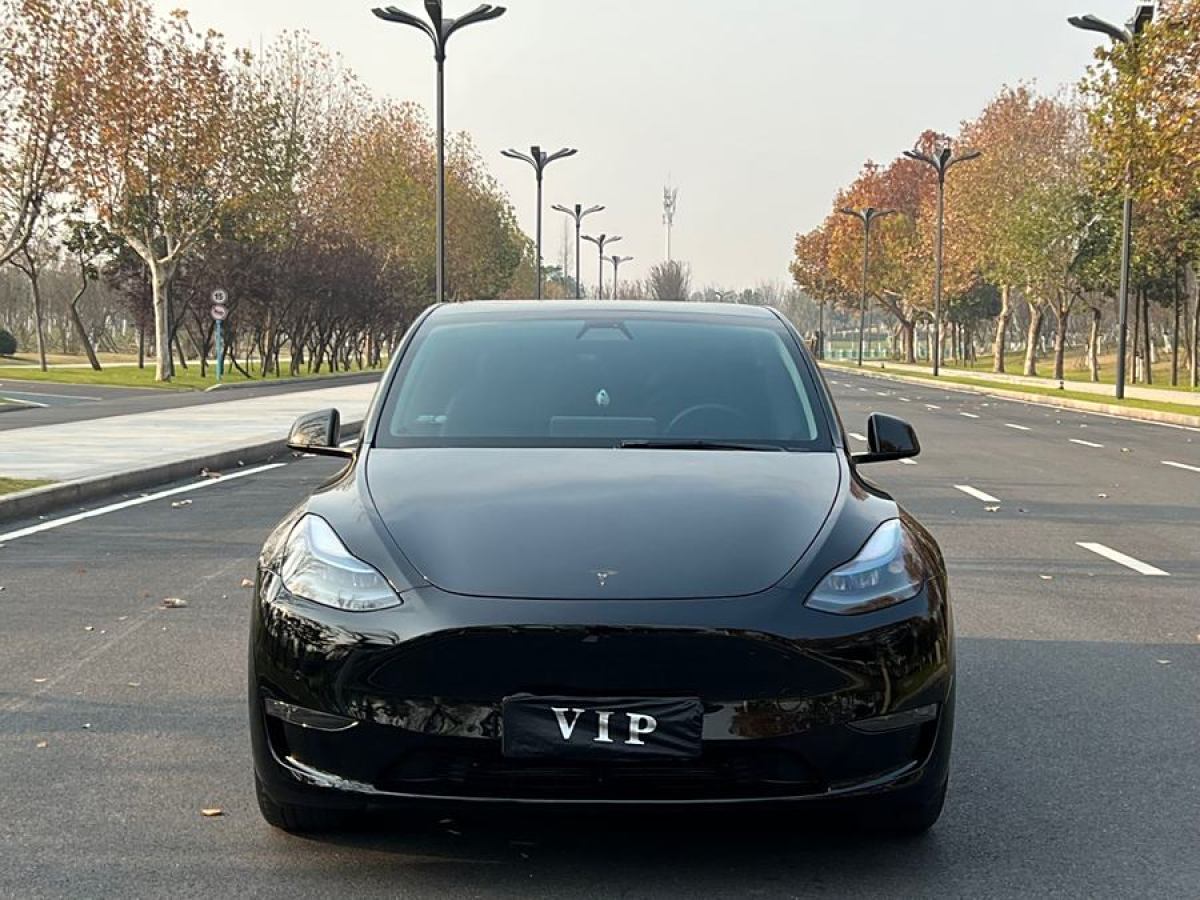 特斯拉 Model 3  2021款 改款 標(biāo)準(zhǔn)續(xù)航后驅(qū)升級(jí)版圖片