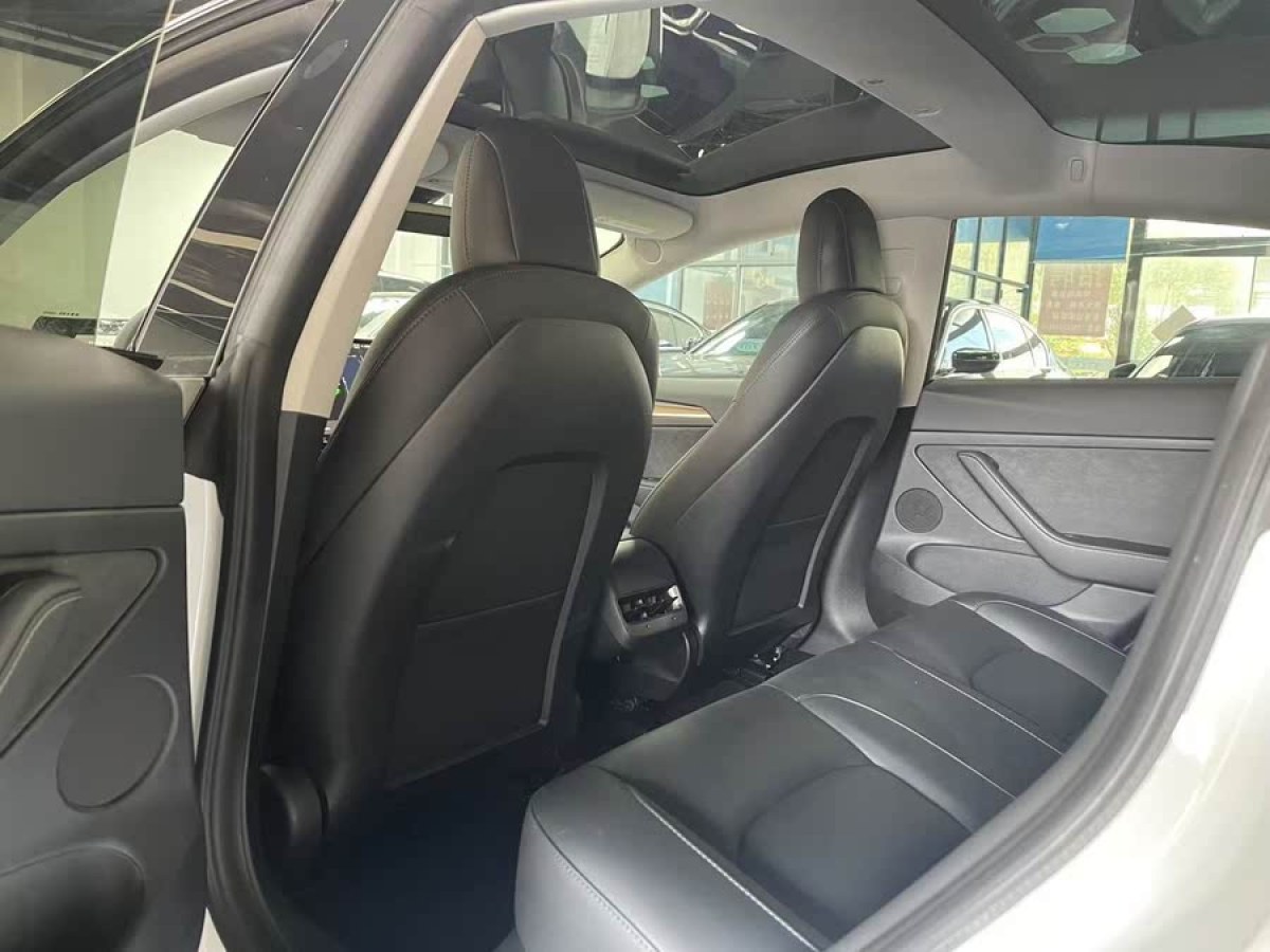 特斯拉 Model 3  2022款 后輪驅(qū)動版圖片