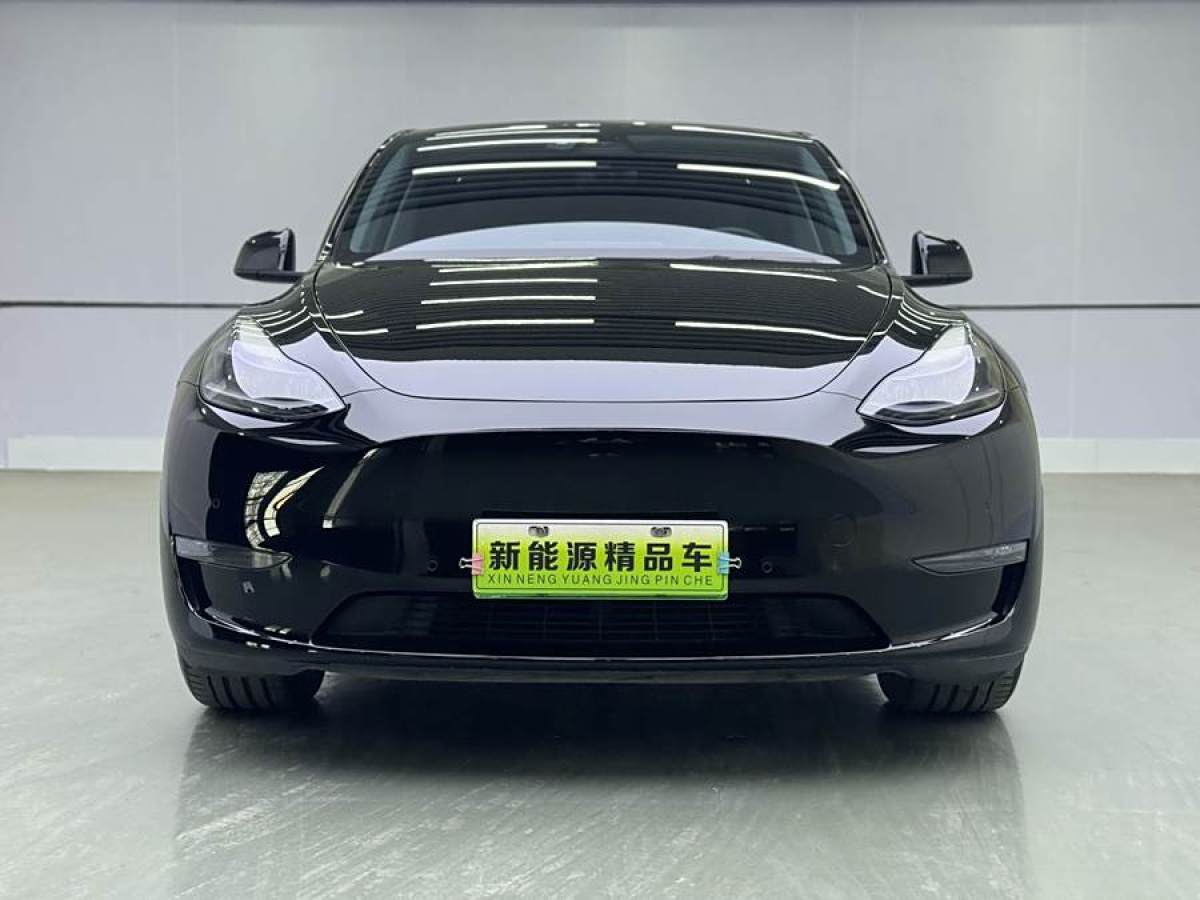 特斯拉 Model Y  2021款 長(zhǎng)續(xù)航全輪驅(qū)動(dòng)版 3D7圖片