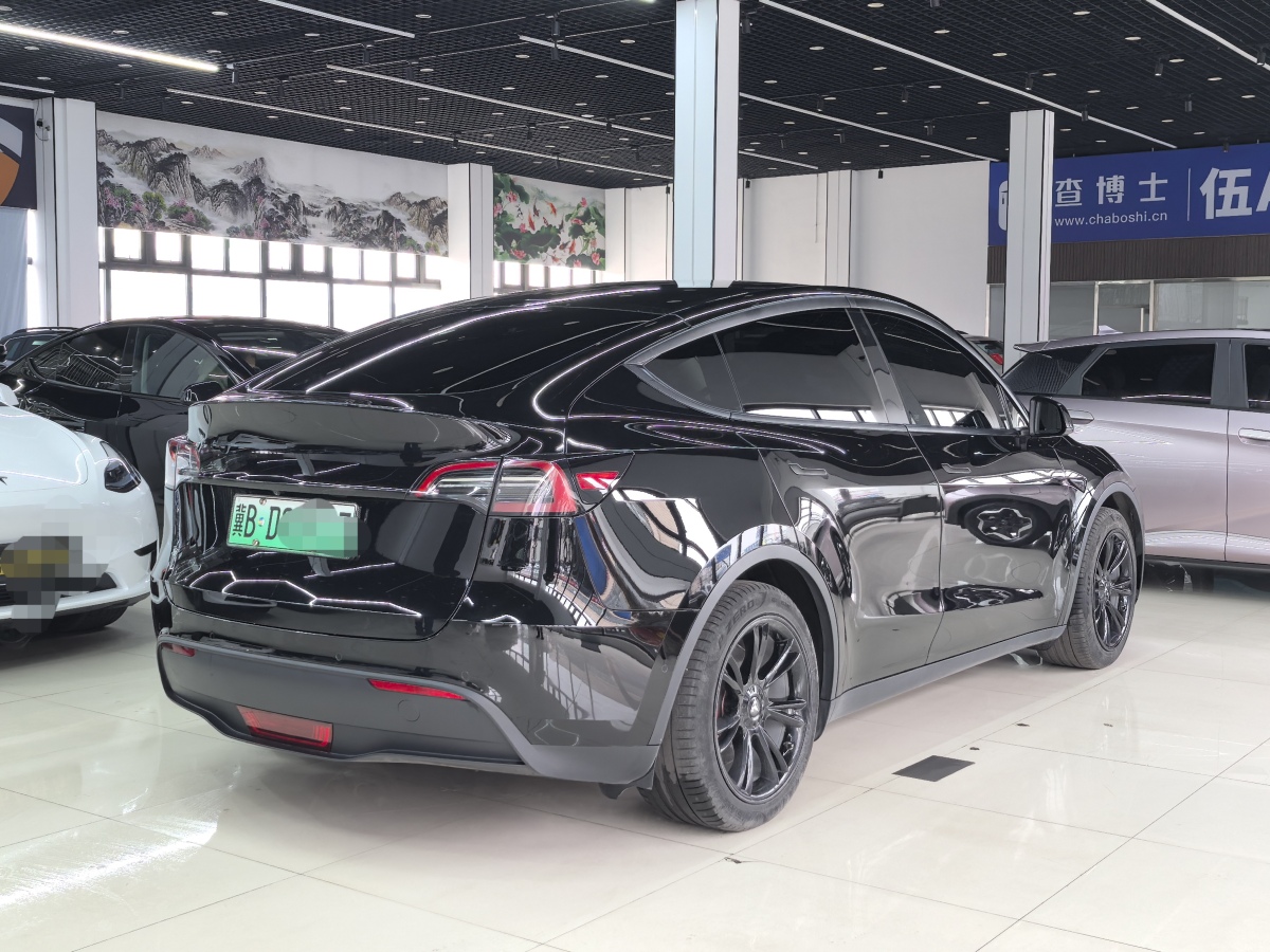 特斯拉 Model 3  2022款 后輪驅(qū)動(dòng)版圖片