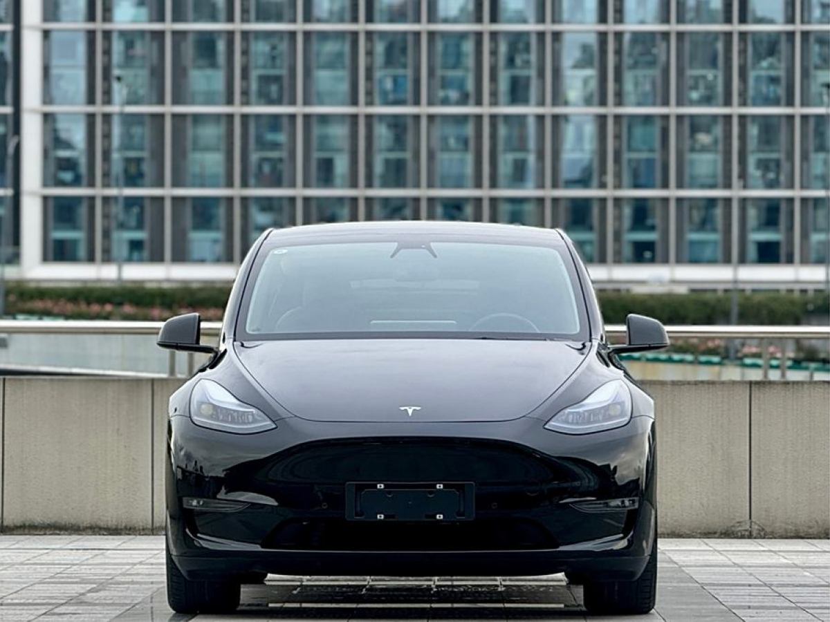 2021年6月特斯拉 Model 3  2021款 改款 長續(xù)航全輪驅(qū)動版