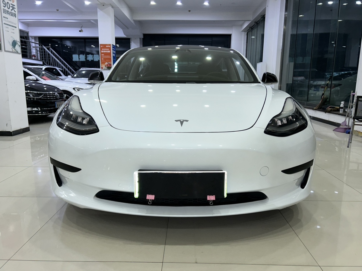 特斯拉 Model Y  2020款 標(biāo)準(zhǔn)續(xù)航后驅(qū)升級(jí)版圖片