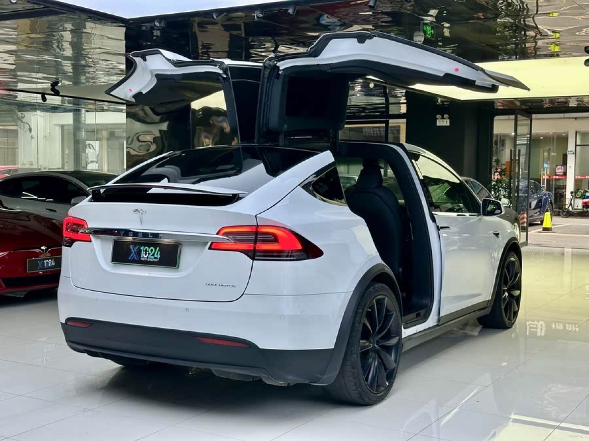 特斯拉 Model X  2019款 長續(xù)航版圖片