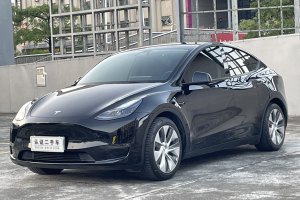 Model 3 特斯拉 改款 标准续航后驱升级版