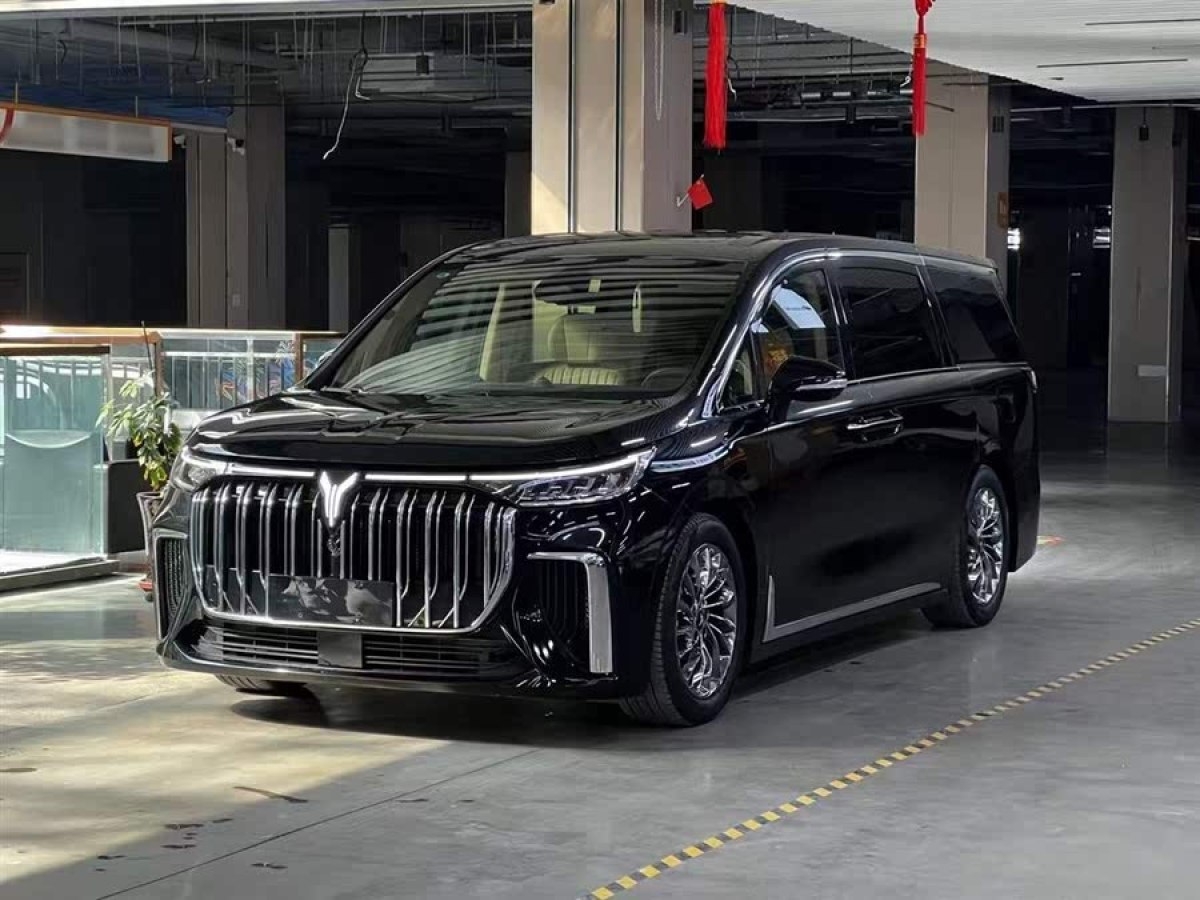 嵐圖 夢想家  2024款 PHEV 超長續(xù)航旗艦版圖片