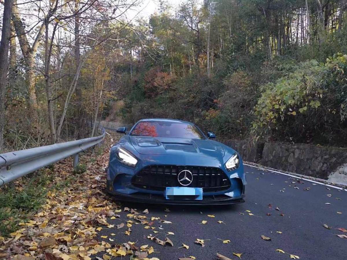 奔馳 奔馳AMG GT  2019款 AMG GT圖片