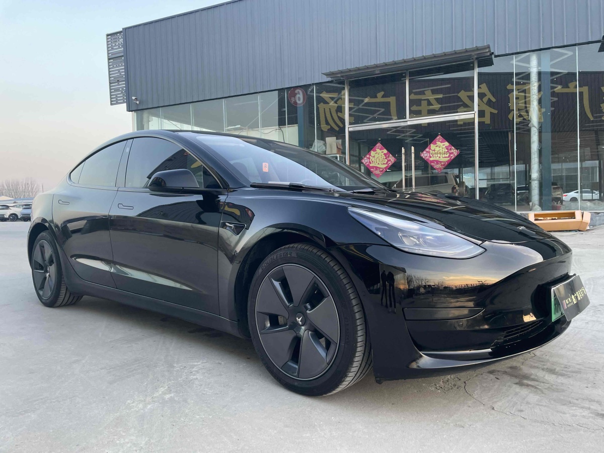 特斯拉 Model 3  2019款 標準續(xù)航后驅升級版圖片