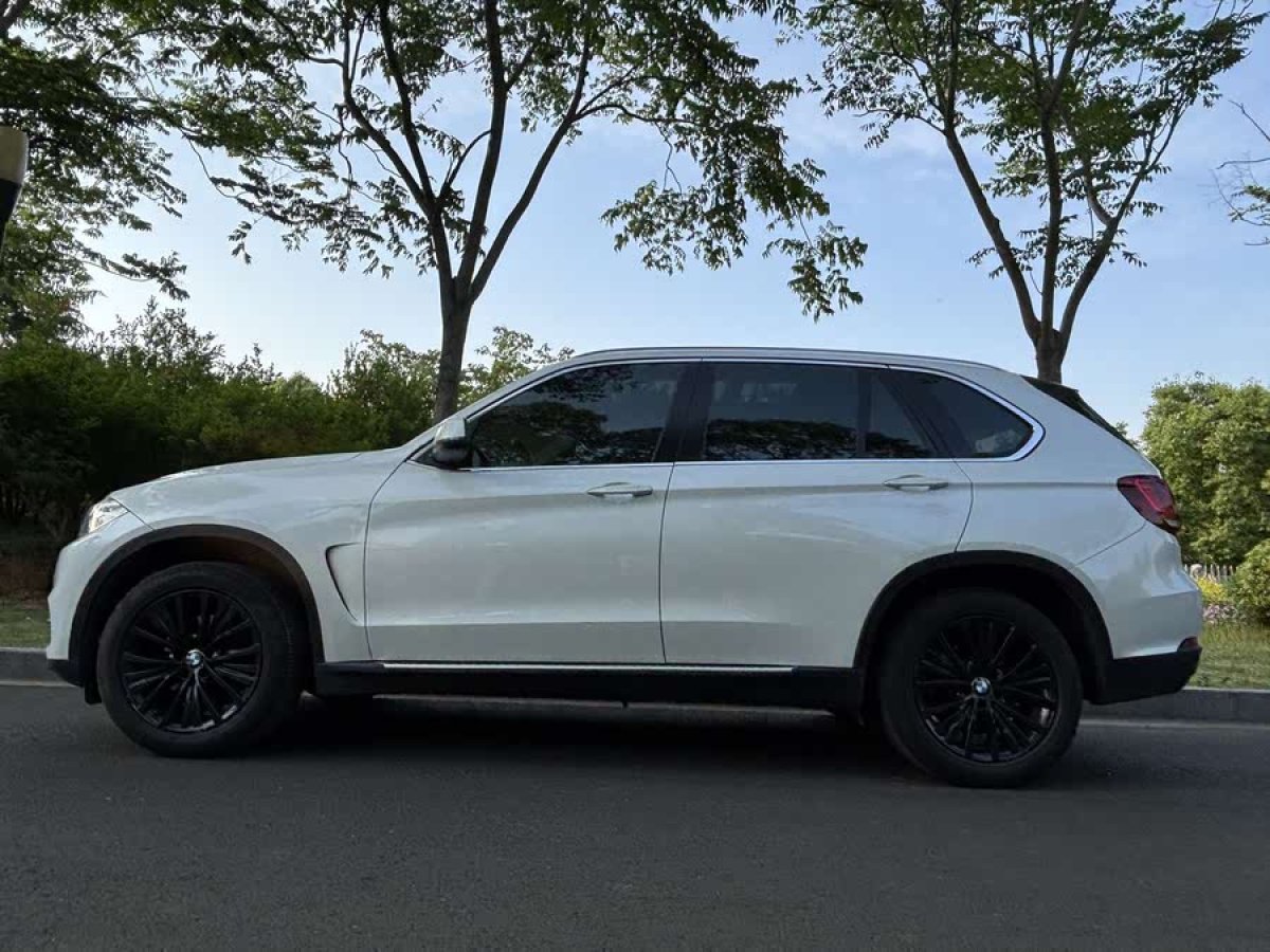 寶馬 寶馬X5  2014款 xDrive35i 領(lǐng)先型圖片