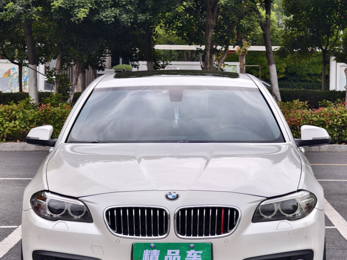 寶馬 寶馬5系  2014款 530Li 領(lǐng)先型圖片