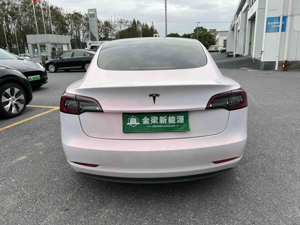 特斯拉 Model Y  2021款 標(biāo)準(zhǔn)續(xù)航后驅(qū)升級(jí)版 3D6圖片