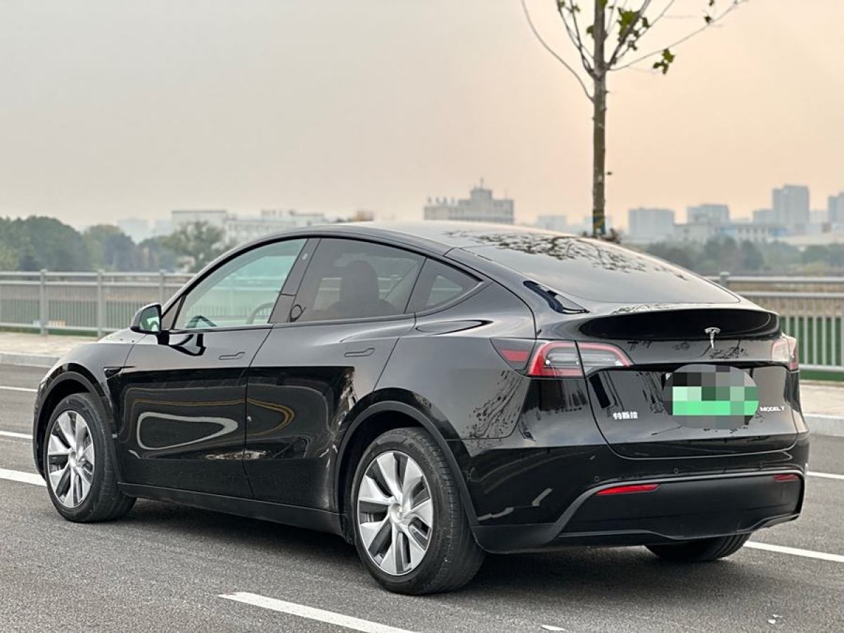 特斯拉 Model 3  2022款 后輪驅(qū)動版圖片