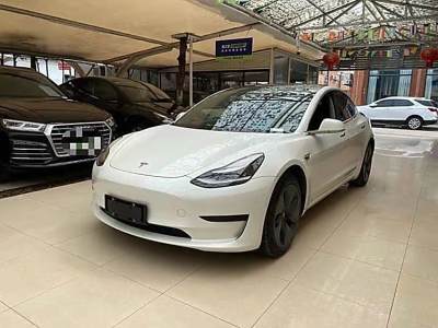 2020年11月 特斯拉 Model 3 改款 標(biāo)準(zhǔn)續(xù)航后驅(qū)升級(jí)版圖片