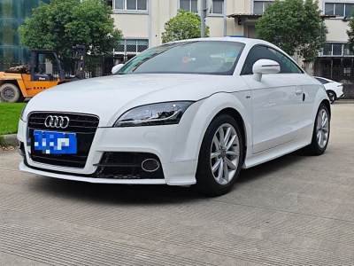 2013年5月 奧迪 奧迪TT(進(jìn)口) TT Coupe 45 TFSI 彩色夢(mèng)幻版圖片