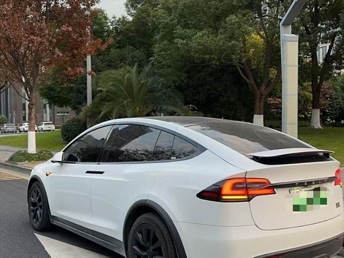 特斯拉 Model X  2023款 雙電機(jī)全輪驅(qū)動(dòng)版圖片