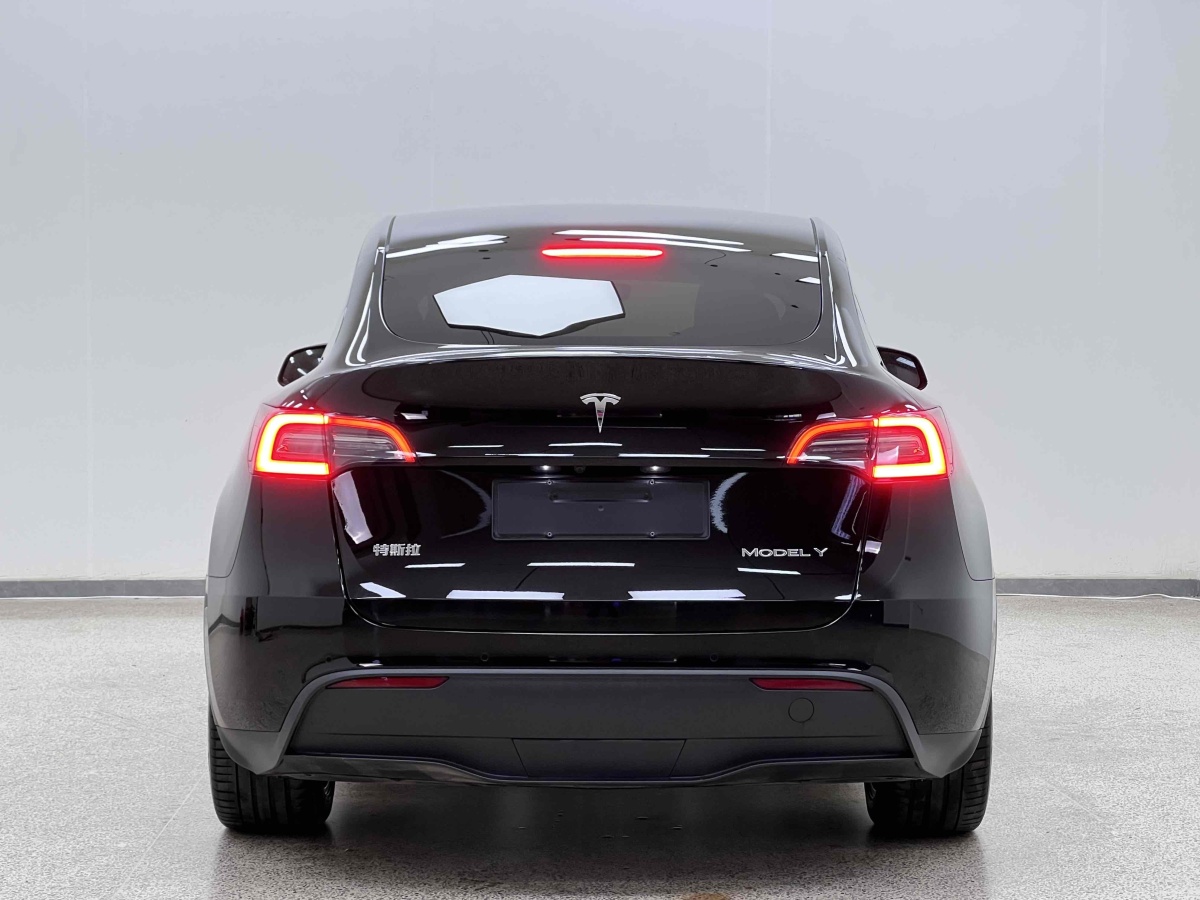 特斯拉 Model Y  2022款 后輪驅(qū)動(dòng)版圖片