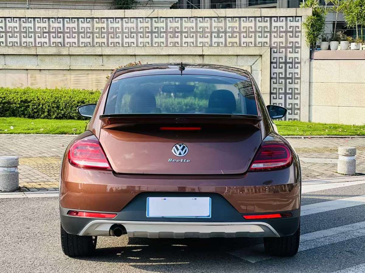 大眾 甲殼蟲  2018款 180TSI 沙丘越野版圖片