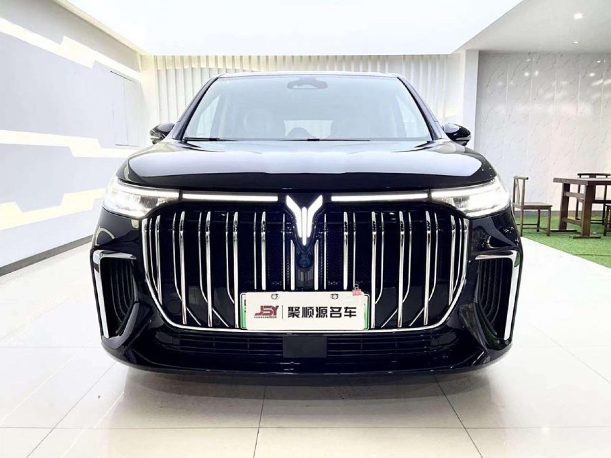 嵐圖 夢(mèng)想家  2024款 PHEV 超長(zhǎng)續(xù)航旗艦版圖片