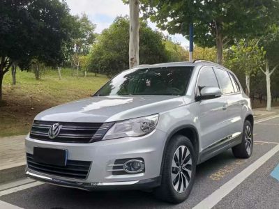 2012年10月 大眾 途歡(進(jìn)口) 2.0 TDI 舒適版圖片