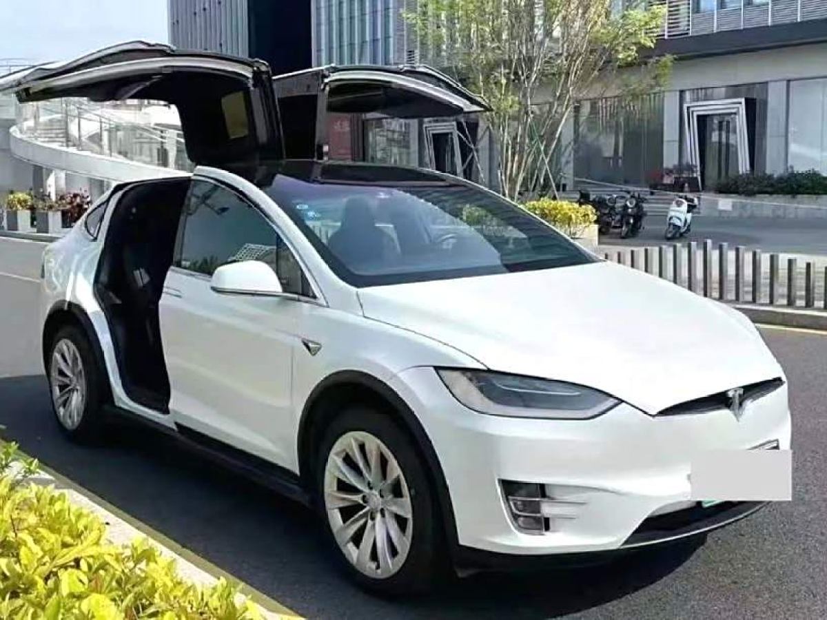 特斯拉 Model X  2016款 Model X 75D圖片