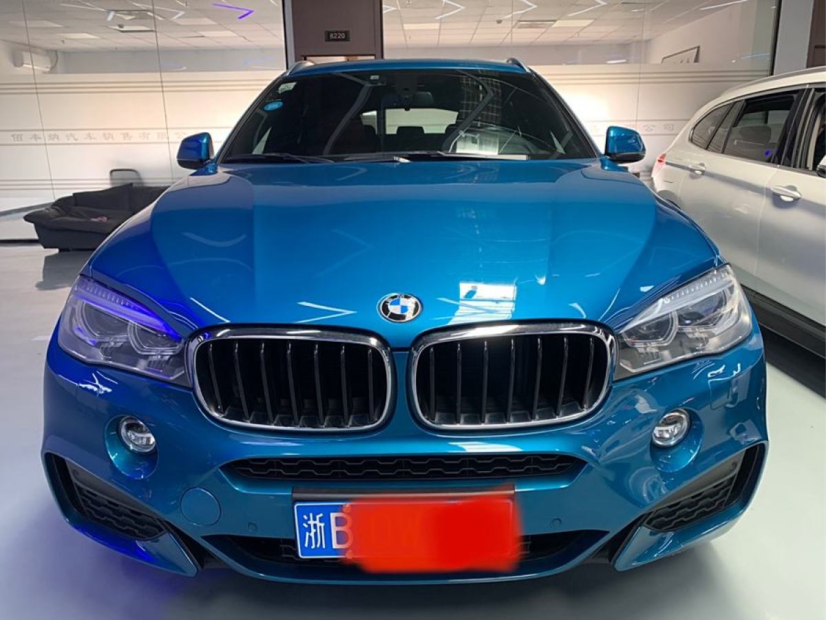 寶馬 寶馬X6  2018款 xDrive35i 領(lǐng)先型圖片